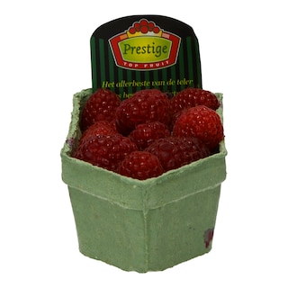 - | ΒΑΤΟΜΟΥΡΟ ΚΟΚΚΙΝΟ ΕΙΣΑΓΩΓΗΣ 150 GR