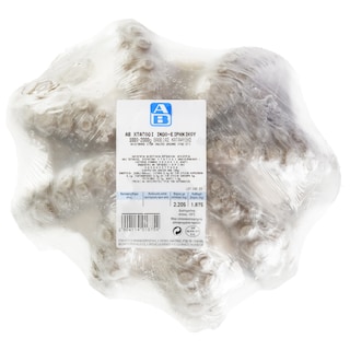 ΑΒ | Octopus Indo-Pacific Frozen