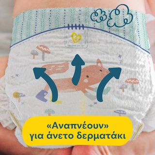 PAMPERS | Πάνες Μωρού Premium Care Νο3 Αποκλειστικά Online 200 Τεμάχια