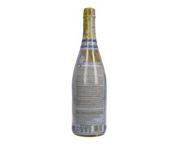 DISNEY | FROZEN ΑΦΡΩΔΕΣ ΦΡΟΥΤ.ΣΤΑΦ.750ML