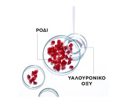 GARNIER | ΜΑΣΚΑ ΠΡΟΣΩΠΟΥ ΕΝΥΔΑΤΩΣΗΣ MOISTURE BOMB ΜΕ ΕΚΧΥΛΙΣΜΑ ΡΟΔΙΟΥ 32 GR