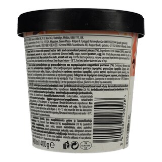 HAAGEN DAZS | Παγωτό Φυστικοβούτυρο & Φυστίκι 400gr