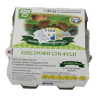 ΧΡΥΣΑ ΑΥΓΑ | ΑΥΓΑ ΕΛΕΥΘΕΡΑΣ ΒΟΣΚΗΣ MEDIUM 53/63 GR 4 ΤΕΜ