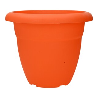 - | ΓΛΑΣΤΡΑ 79  4.2L ΧΡΩΜΑΤΑ 1TEM