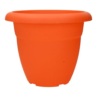 - | ΓΛΑΣΤΡΑ 79  4.2L ΧΡΩΜΑΤΑ 1TEM