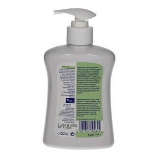 DETTOL | ΥΓΡO ΣΑΠΟΥΝΙ ΑΝΤΛΙΑ ΚΛΑΣΣΙΚΟ 250 ML