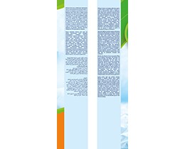 BABYLINO | Πάνες Μωρού Sensitive Χαμομήλι Νο6 15-30kg 15 Τεμάχια