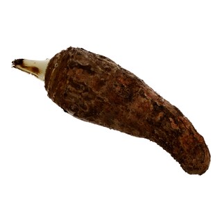 - | ΚΟΛΟΚΑΣΙ ΚΥΠΡΟΥ