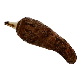 - | ΚΟΛΟΚΑΣΙ ΚΥΠΡΟΥ