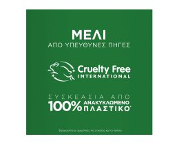 BOTANIC THERAPY | Σαμπουάν Honey Treasures Φθαρμένα Μαλλιά 400ml