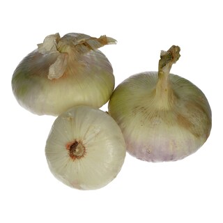 - | ΚΡΕΜΜΥΔΙΑ ΞΕΡΑ ΖΑΚΥΝΘΟΥ ΛΕΥΚΑ XYMA