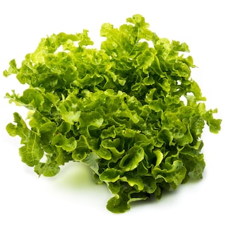 - | . ΠΡΑΣΙΝΗ ΚΑΤΣΑΡΗ 1 ΤΕΜ