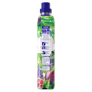 SOUPLINE | .  56ΜΕΖ