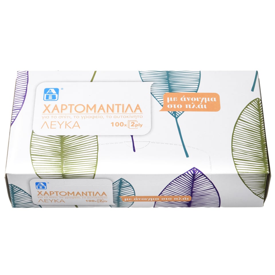 Χαρτομάντηλα Λευκά 2 Φύλλα 100 Τεμάχια 132g