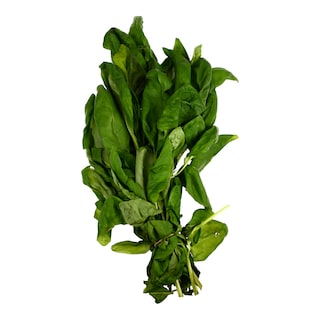 - | ΒΑΣΙΛΙΚΟΣ ΠΛΑΤΥΦΥΛΛΟΣ ΕΛΛΗΝΙΚΟΣ 1 ΤΕΜ