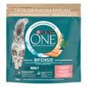 PURINA ONE