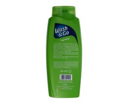 WASH&GO | ΣΑΜΠΟΥΑΝ ΓΙΑ ΤΑΛΑΙΠΩΡΗΜΕΝΑ ΜΑΛΛΙΑ 700 ML