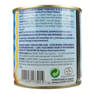 MORFAT | ΣΑΝΤΙΓΥ ΚΡΕΜΑ ΜΕΤΑΛΙΚΟ ΚΟΥΤΙ 250 GR