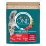 PURINA ONE