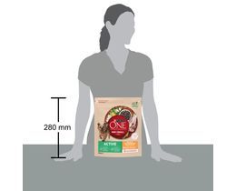 PURINA ONE | FOOD DOG