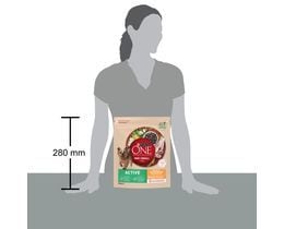 PURINA ONE | Σκυλοτροφή One Mini Active Κοτόπουλο Με Ρύζι 800 gr