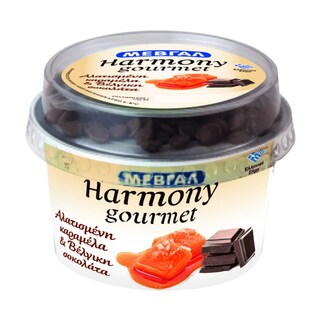 HARMONY | Επιδόρπιο Γιαουρτιού Gourmet Καραμέλα Σοκολάτα 160g