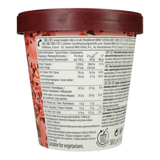 HAAGEN DAZS | Παγωτό DUO Βελγική Σοκολάτα & Φράουλα 360g