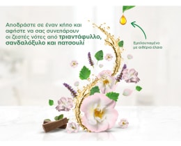 AIRWICK | Αρωματικό Χώρου Freshmatic Wild Rose & Patchouli Refill 250ml