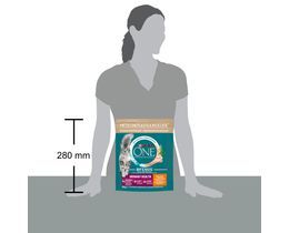 PURINA ONE | Γατοτροφή Urinary Health Κοτόπουλο 800g