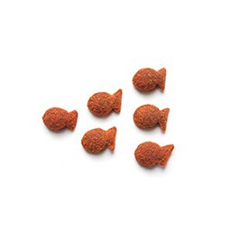Snack