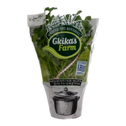 - | ΚΟΛΙΑΝΔΡΟΣ ΣΕ ΓΛΑΣΤΡΑΚΙ ΕΛΛΗΝΙΚΟ 1 ΤΕΜ