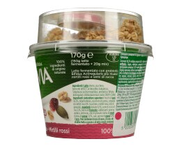 ACTIVIA | Επιδόρπιο Γιαουρτιού Mix & Go Muesli Cranberry 170 gr