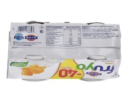 FRUYO | ΕΠΙΔΟΡΠΙΟ ΓΙΑΟΥΡΤΙΟΥ ΜΕΛΙ 2 Χ 170 GR