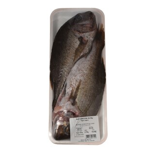 - | COMMON SEA BREAM ΥΔΑΤΟΚΑΛΛΙΕΡΓΕΙΑΣ ΣΥΣΚΕΥΑΣΜΕΝΟ 1KGR