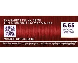 PALETTE | Βαφή Μαλλιών Intensive Color 6.65 Έντονο Κόκκινο 1 Τεμάχιο