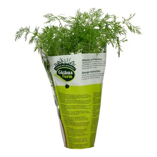 - | ΑΝΙΘΟΣ ΣΕ ΓΛΑΣΤΡΑΚΙ ΕΛΛΗΝΙΚΟΣ ΤΕΜΑΧΙΟ 1 ΤΕΜ