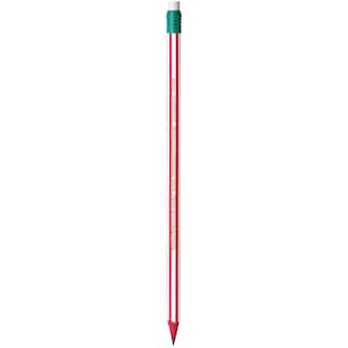 BIC | Μολύβι Evolution Stripes με Γόμα 3 Τεμάχια