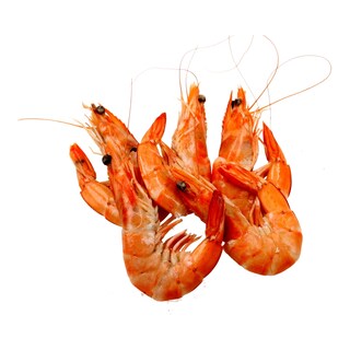 - | ΓΑΡΙΔΕΣ ΥΔΑΤΟΚΑΛΛΙΕΡΓΕΙΑΣ ΕΚΟΥΑΔΟΡ - ΝΩΠΕΣ - ΣΥΣΚΕΥΑΣΜΕΝΕΣ 650 GR ΠΕΡΙΠΟΥ