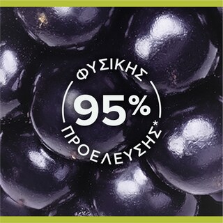 PALMOLIVE | Αφρόλουτρο Smoothies Βατόμουρο 500ml