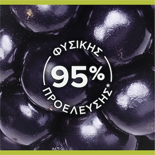 PALMOLIVE | Αφρόλουτρο Smoothies Βατόμουρο 500ml