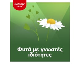 COLGATE | Οδοντόκρεμα Herbal 75ml