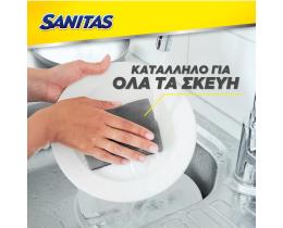 SANITAS | Σφουγγάρι Κουζίνας Silver Block Αντιβακτηριδιακό 2 Τεμάχια