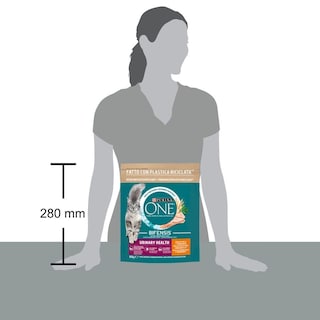 PURINA ONE | Γατοτροφή Urinary Health Κοτόπουλο 800g