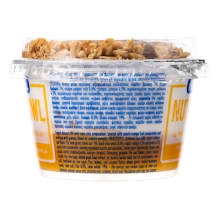 ΜΕΒΓΑΛ | Επιδόρπιο Γιαουρτιού Nutri Bowl Ροδάκινο Μάνγκο Γκρανόλα 158g