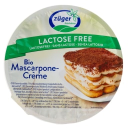 ΒΙΟΔΙΑΤΡΟΦΙΚΗ | Τυρί Mascarpone Βιολογικό Χωρίς Λακτόζη 250g