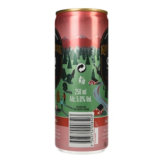 KOPPARBERG | Αλκοολούχο Ποτό Strawberry & Lime 250ml