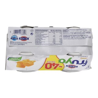 FRUYO | ΕΠΙΔΟΡΠΙΟ ΓΙΑΟΥΡΤΙΟΥ ΜΕΛΙ 2 Χ 170 GR