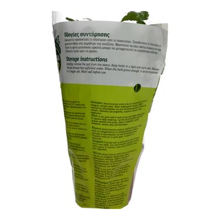 - | ΚΟΛΙΑΝΔΡΟΣ ΣΕ ΓΛΑΣΤΡΑΚΙ ΕΛΛΗΝΙΚΟ 1 ΤΕΜ