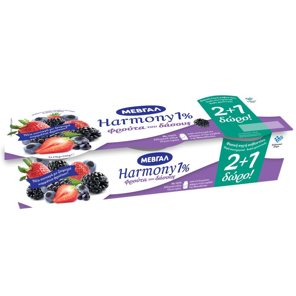 HARMONY Επιδόρπιο Γιαουρτιού Φρούτα του Δάσους 170g 2+1 Δώρο