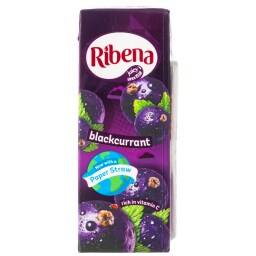 RIBENA | Φρουτοποτό Φραγκοστάφυλο 250ml